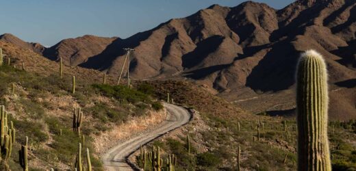 ENCANTO CALCHAQUÍ: LA TIERRA Y LA CULTURA