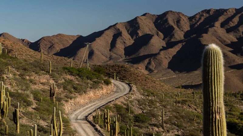 ENCANTO CALCHAQUÍ: LA TIERRA Y LA CULTURA