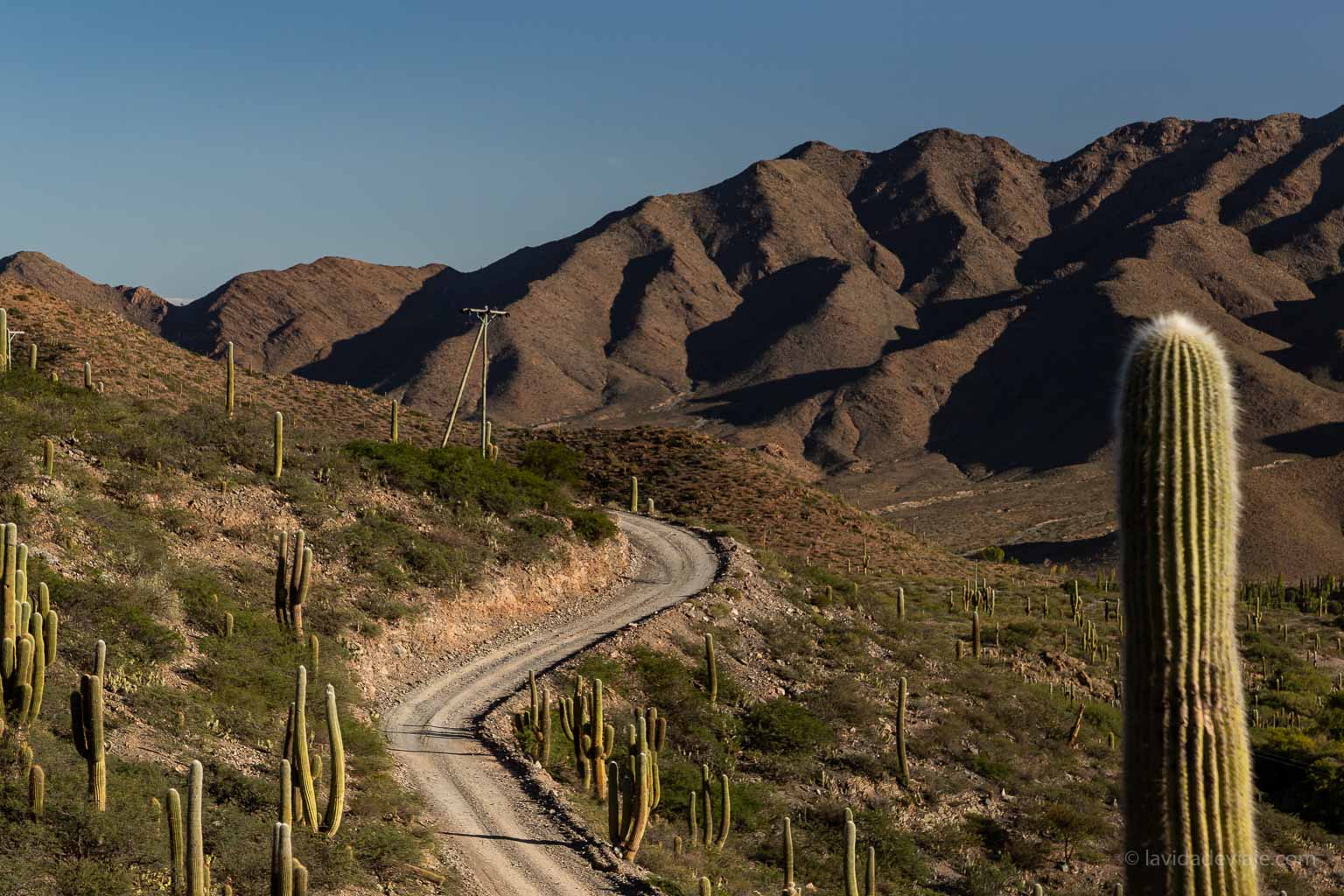 ENCANTO CALCHAQUÍ: LA TIERRA Y LA CULTURA