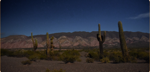 LOS CARDONES: GUERREROS AMANTES